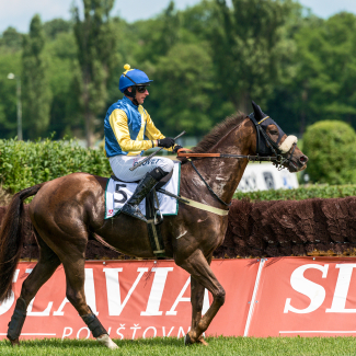 Vstupenky na Velkou pardubickou